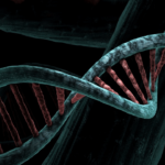 Programmierbare DNA bietet Weg zu beschleunigtem Computing