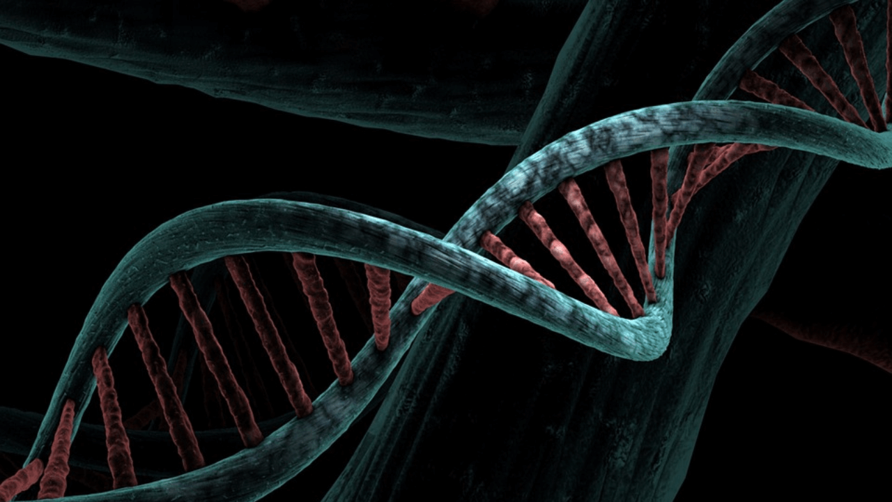 Programmierbare DNA bietet einen Weg zu beschleunigtem Allzweck-Computing Titel