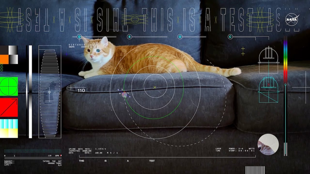 NASA streamt 8K-Katzenvideo über 18 Millionen Meilen bei 267 Mb/s Titel